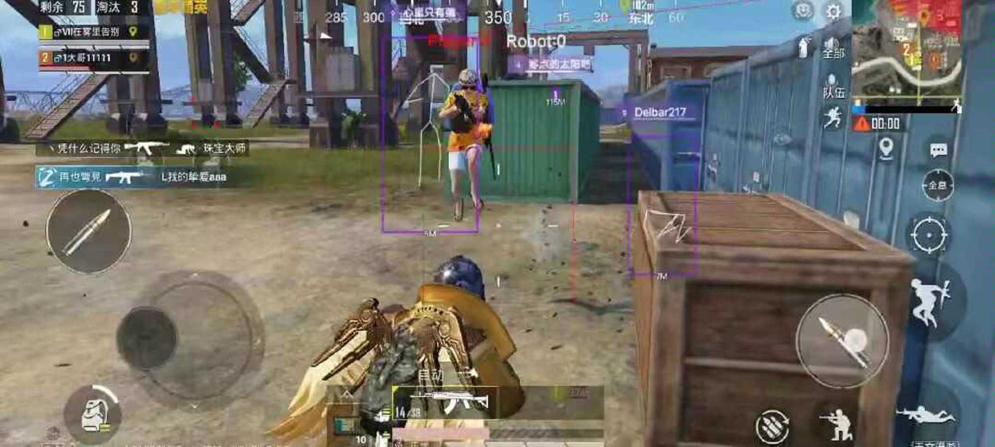 和平精英《AEK内部》外挂