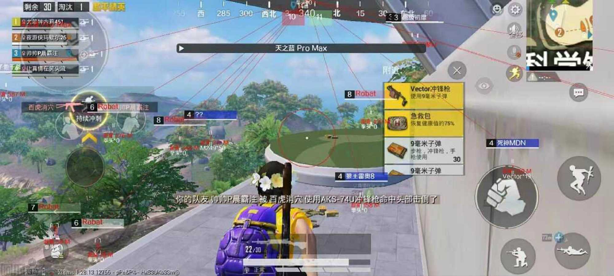 和平精英《蜜雪》外挂